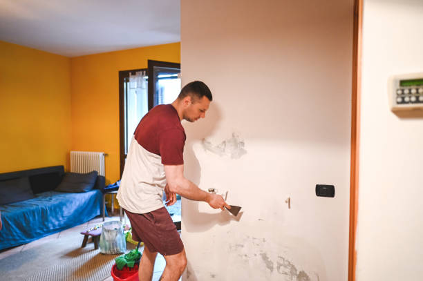 Best Post-Flood Mold Remediation in Lighthouse Point, FL